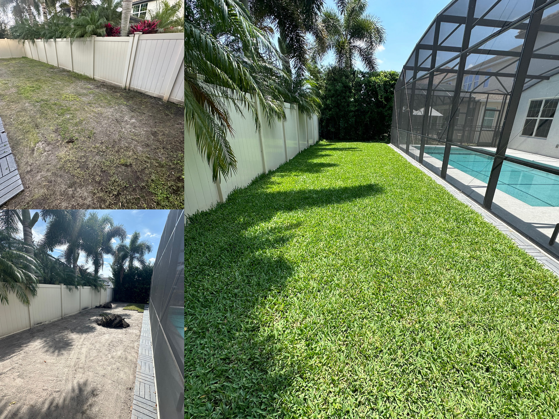 Before and After professional sod installation process - Orlando Florida