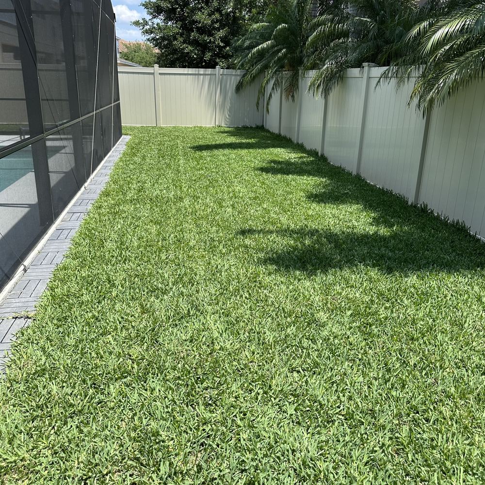 Windermere backyard after ProVista St. Augustine sod installation