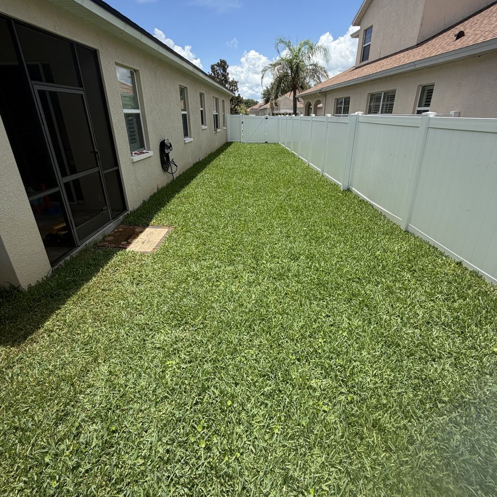 Side yard along the fence after Strada sod installation