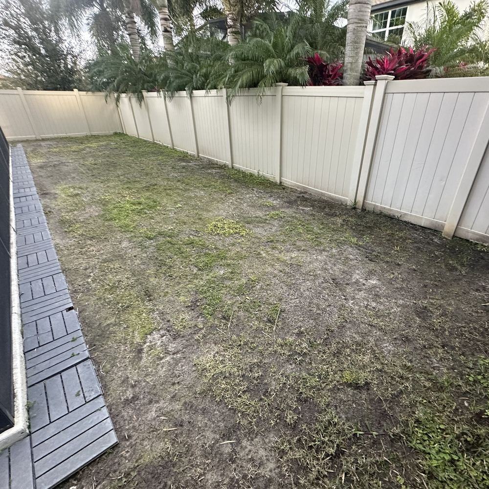 ProVista St. Augustine backyard along the pool cage in Windermere FL before