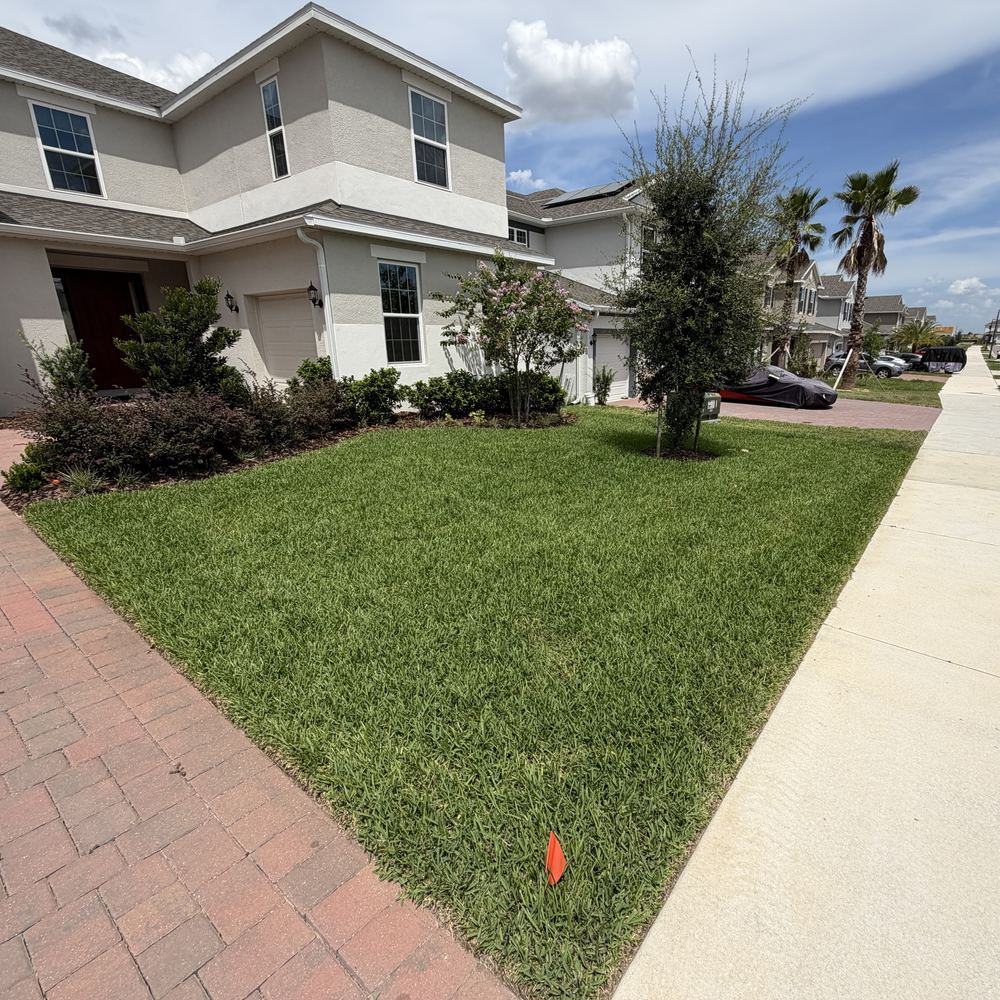 Sod installation new-build front yard after