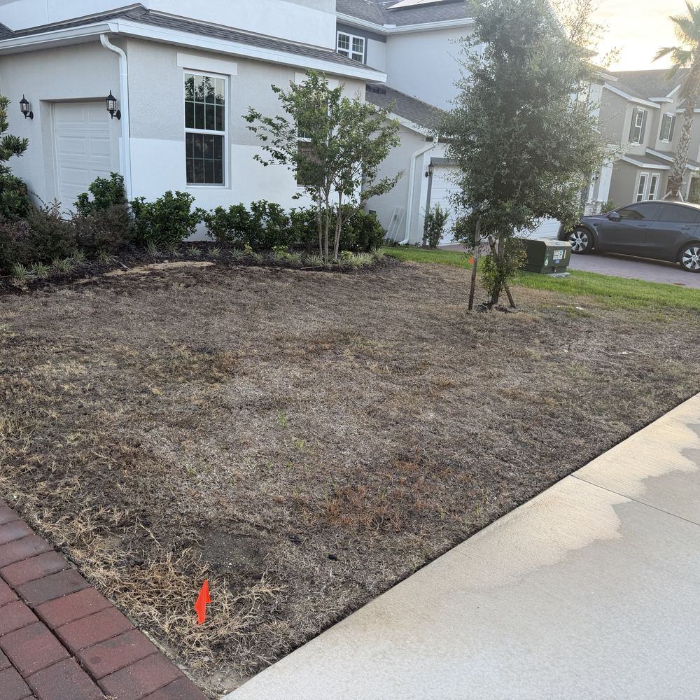 Sod installation new-build front yard before