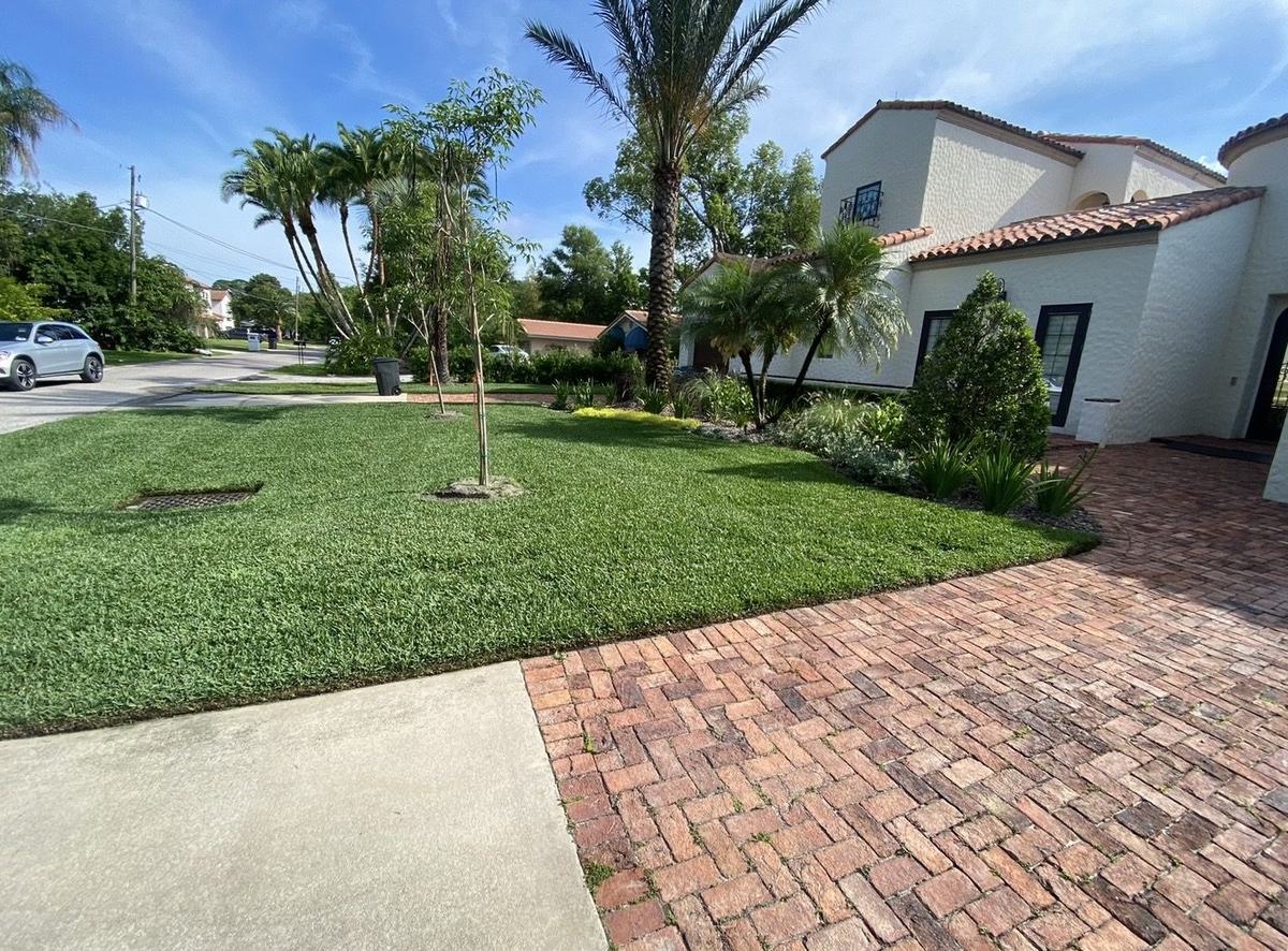 CitraBlue St. Augustine front lawn by the pavers in Windermere FL