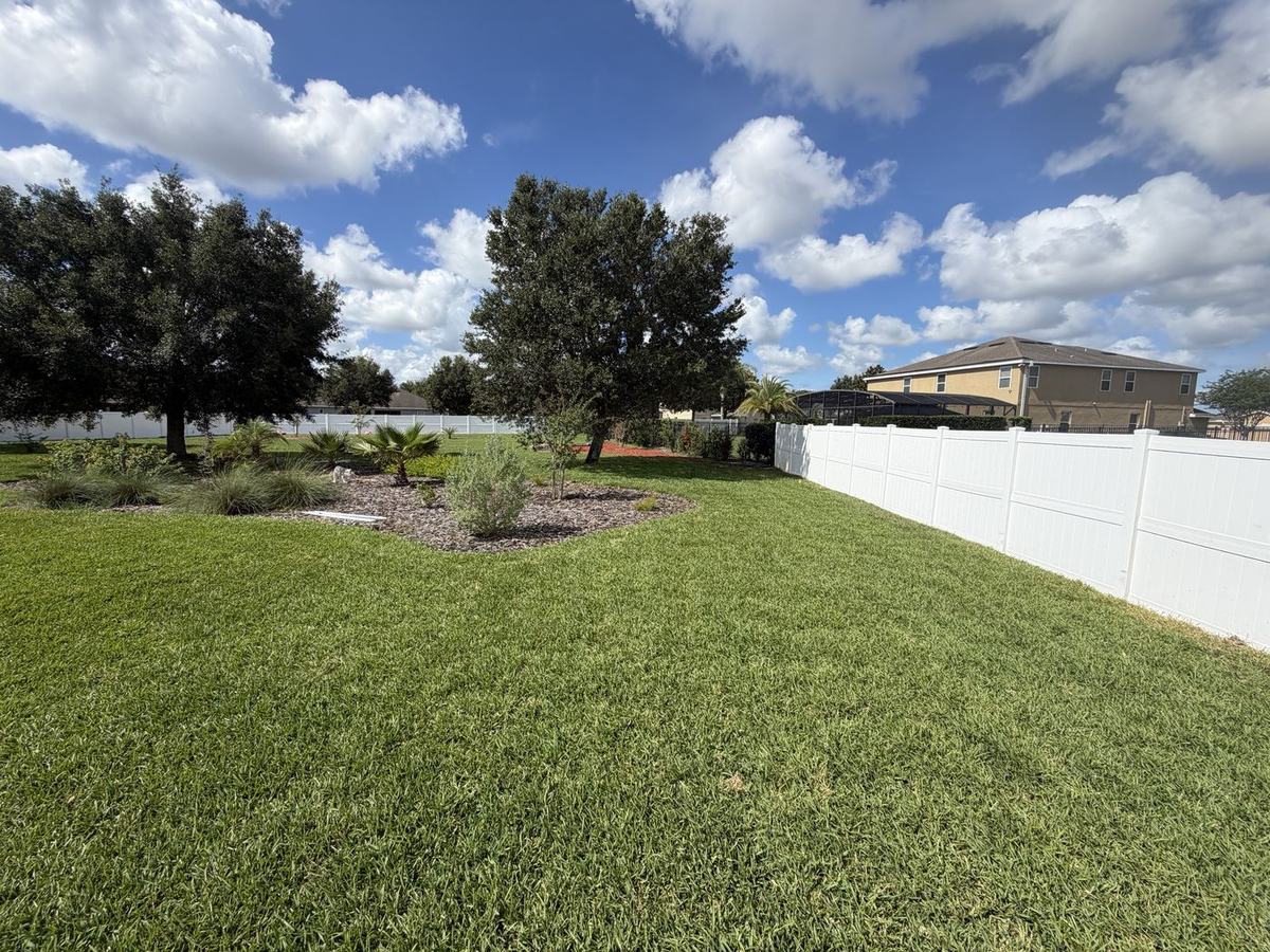 CoBalt St. Augustine large backyard in Apopka FL