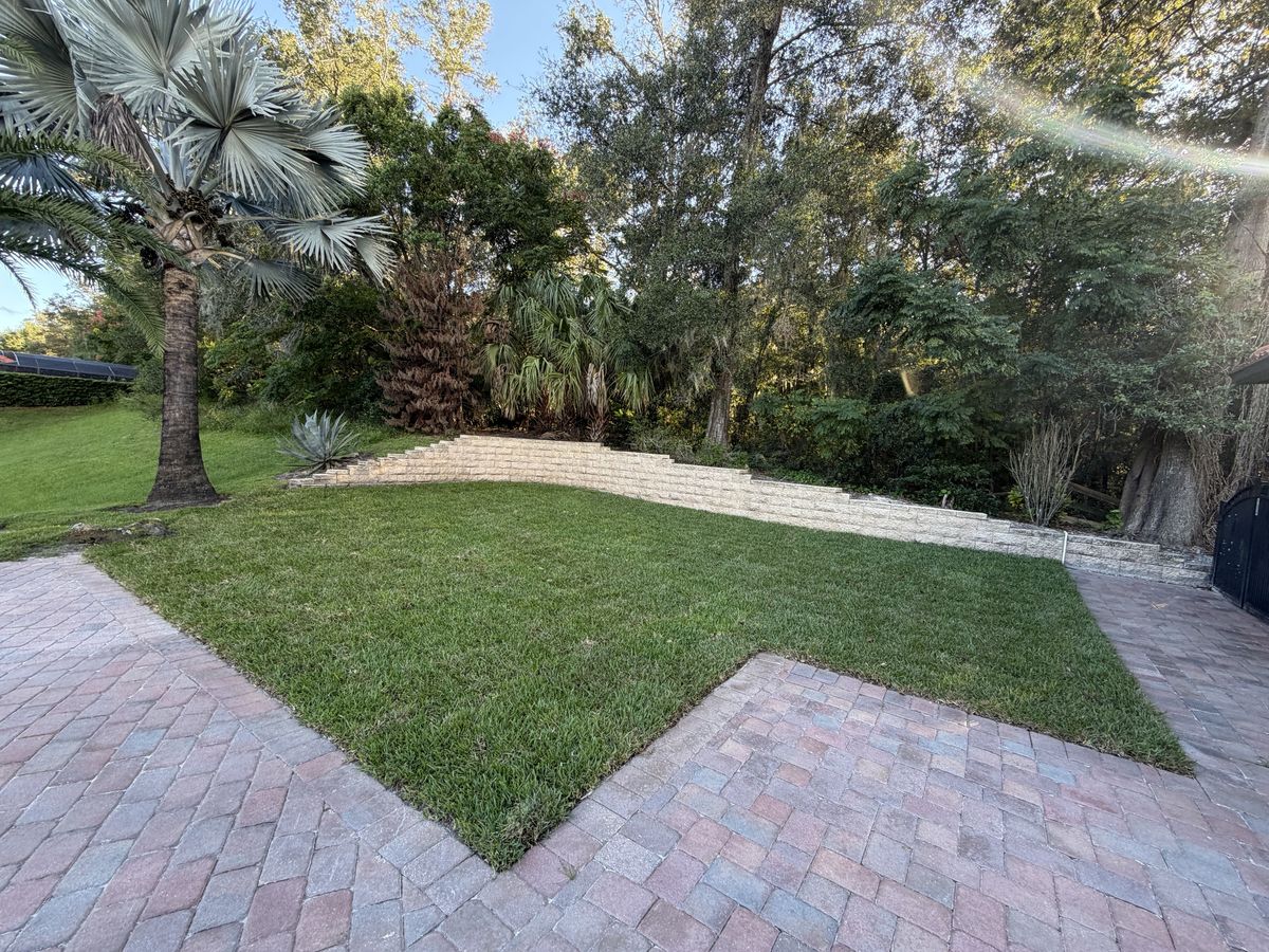 CoBalt St. Augustine backyard lawn between pavers and a retaining wall in Longwood FL, one week after install