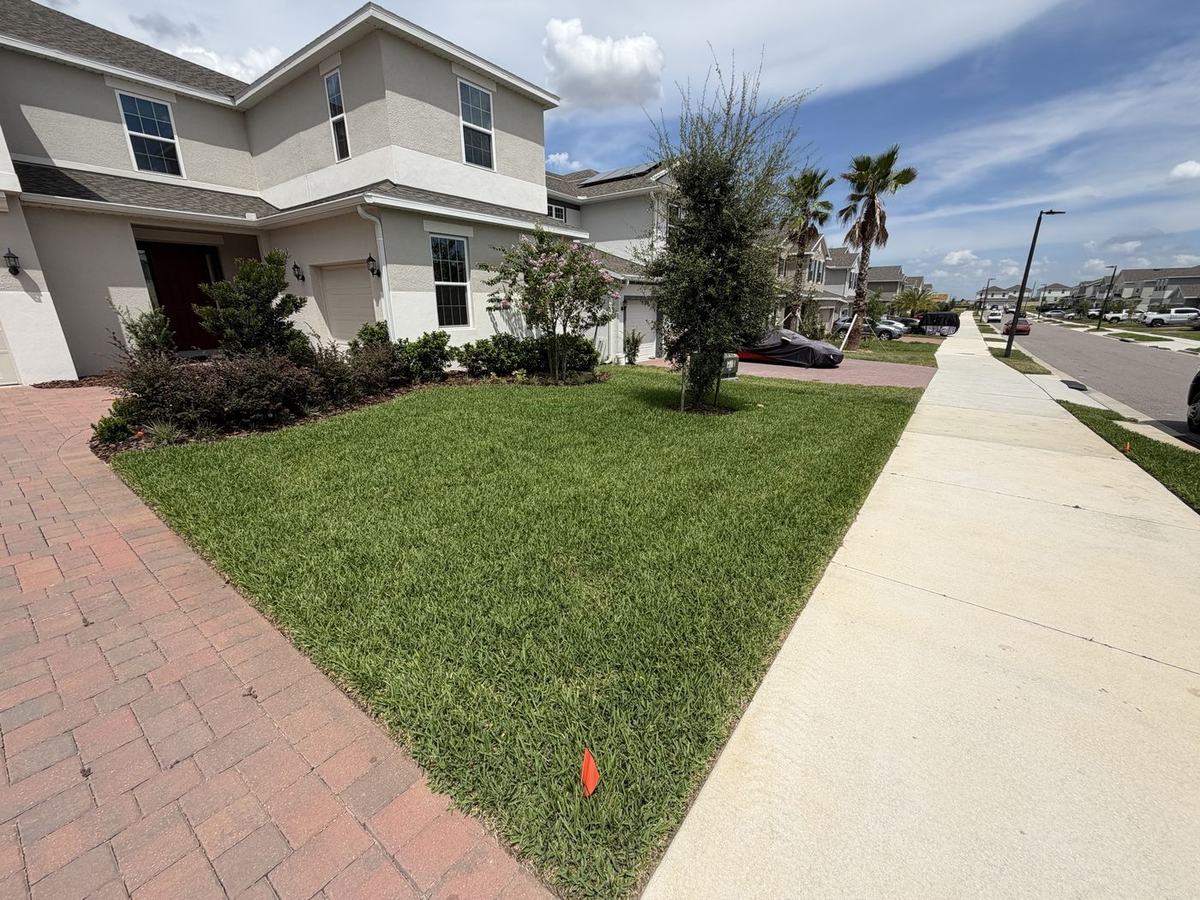 CoBalt St. Augustine new-build front lawn in Four Corners FL