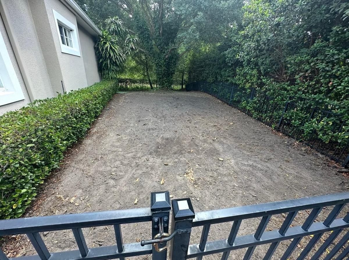 Shaded lawn before Seville St. Augustine sod replacement in Winter Park FL