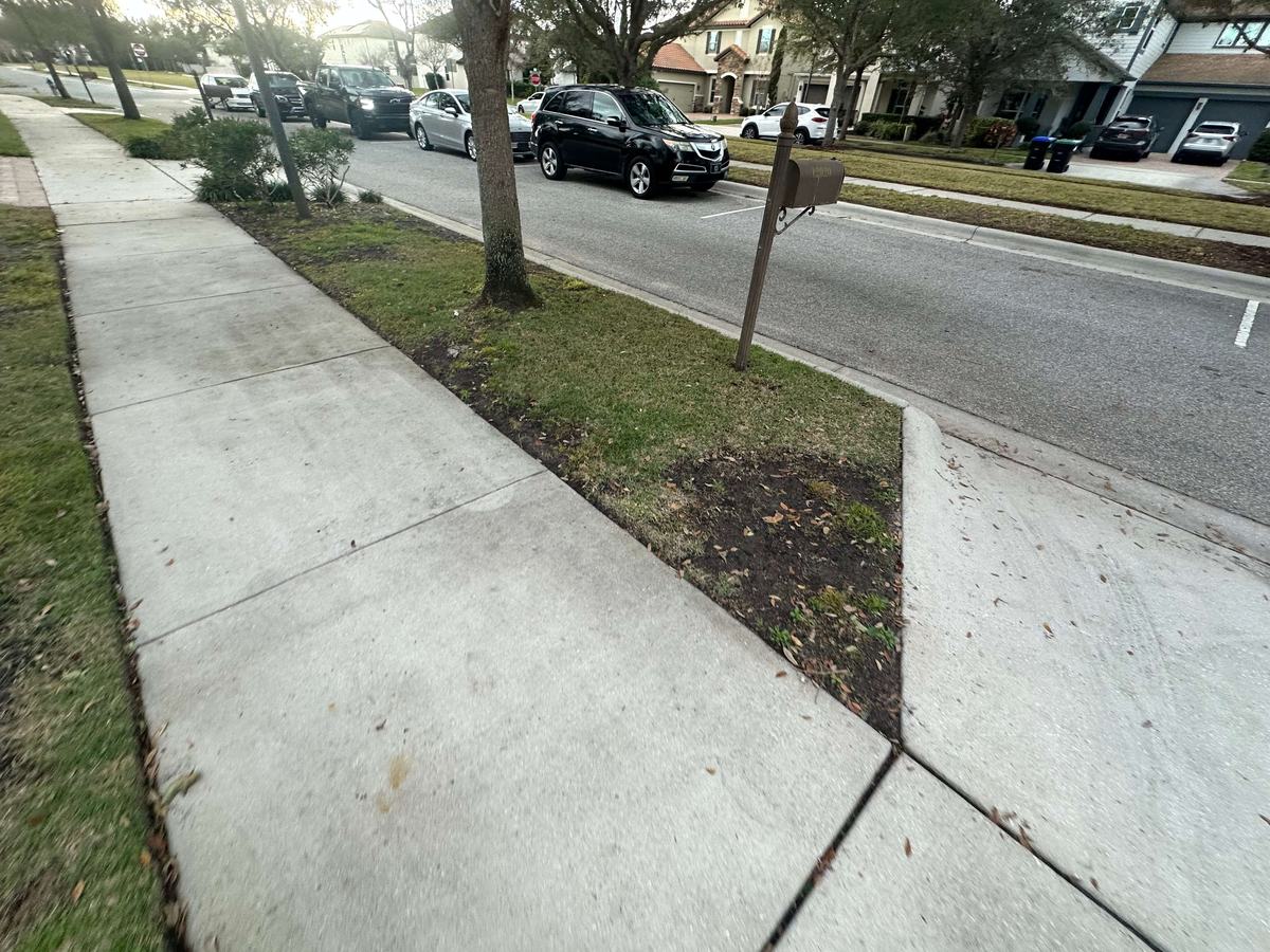 Old lawn being ripped out before CoBalt St. Augustine sod replacement in Winter Garden FL