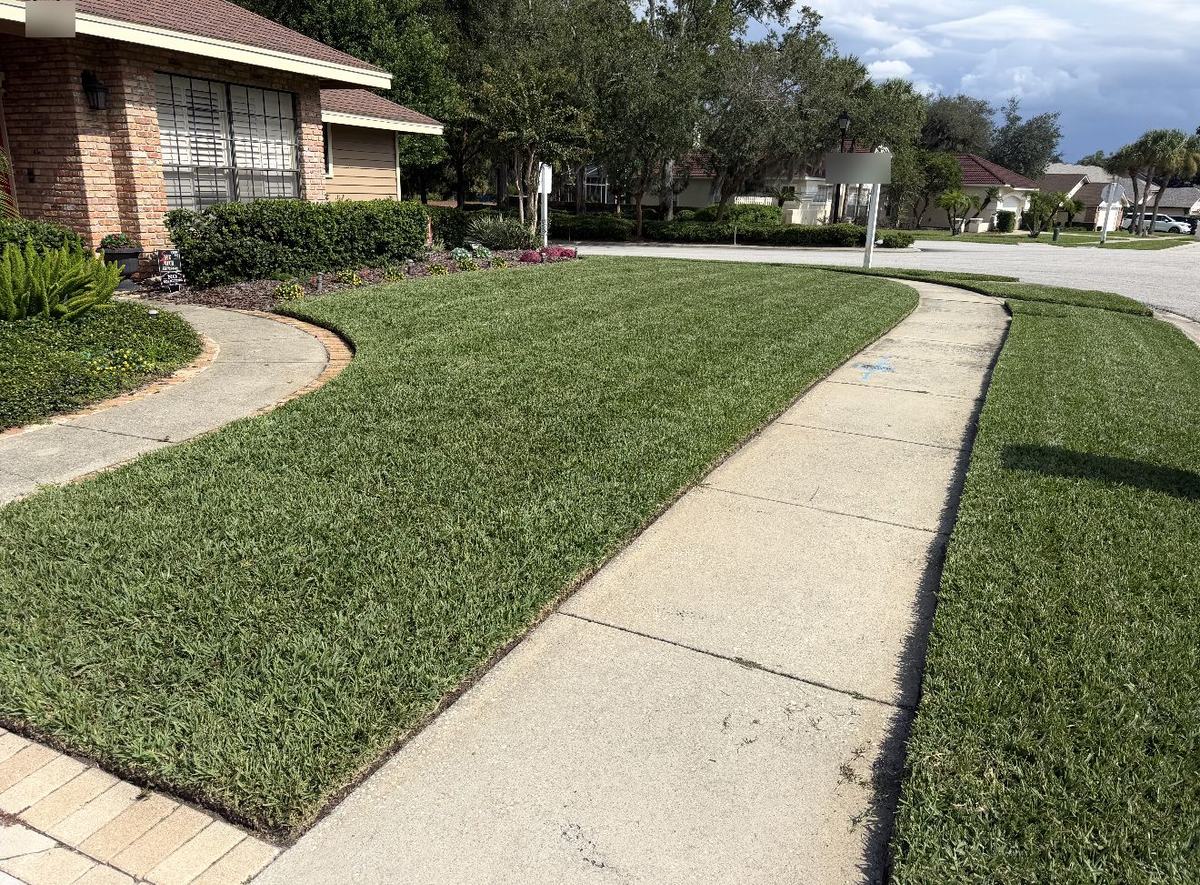 ProVista St. Augustine corner front lawn in Longwood FL