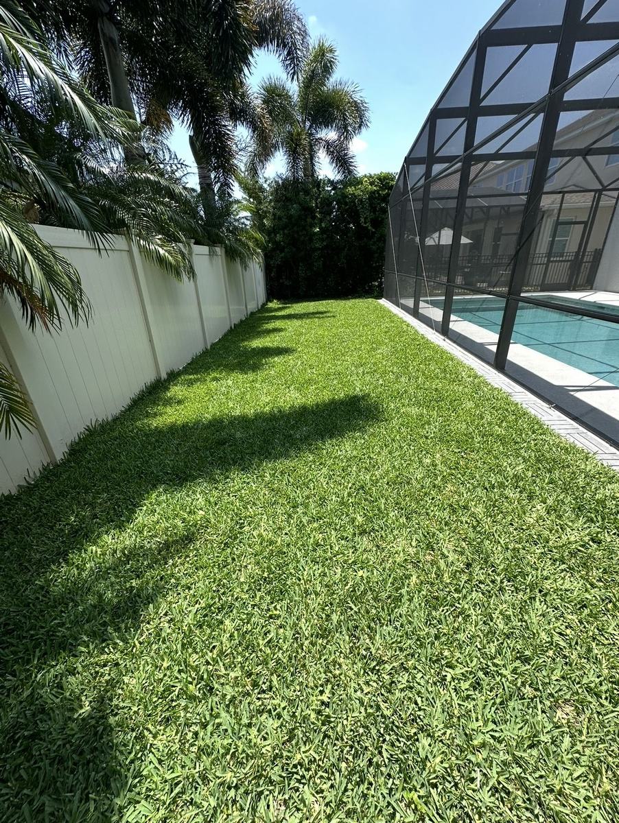 ProVista St. Augustine backyard along the pool cage in Windermere FL after