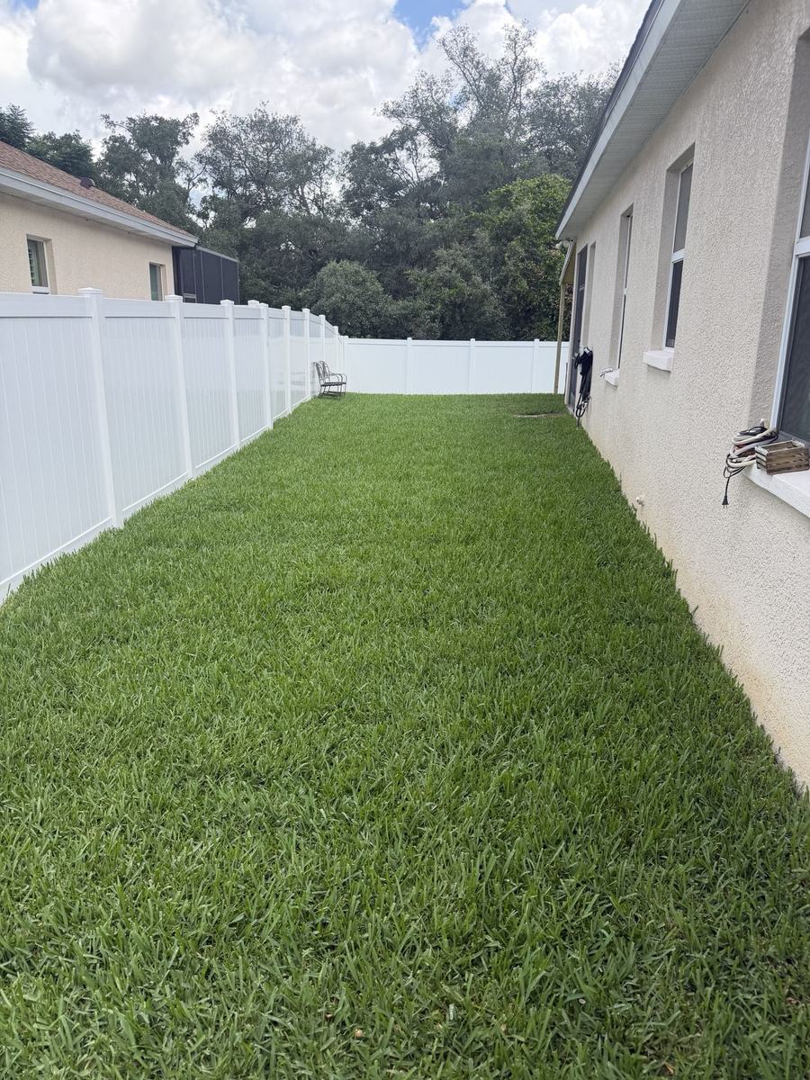ProVista St. Augustine fenced side yard in Clermont FL