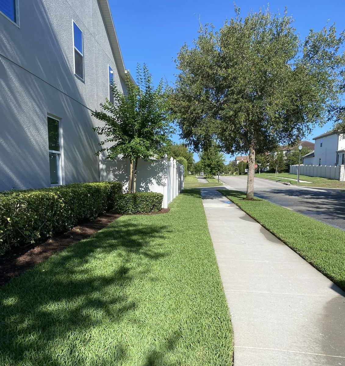 ProVista St. Augustine side yard and sidewalk in Windermere FL