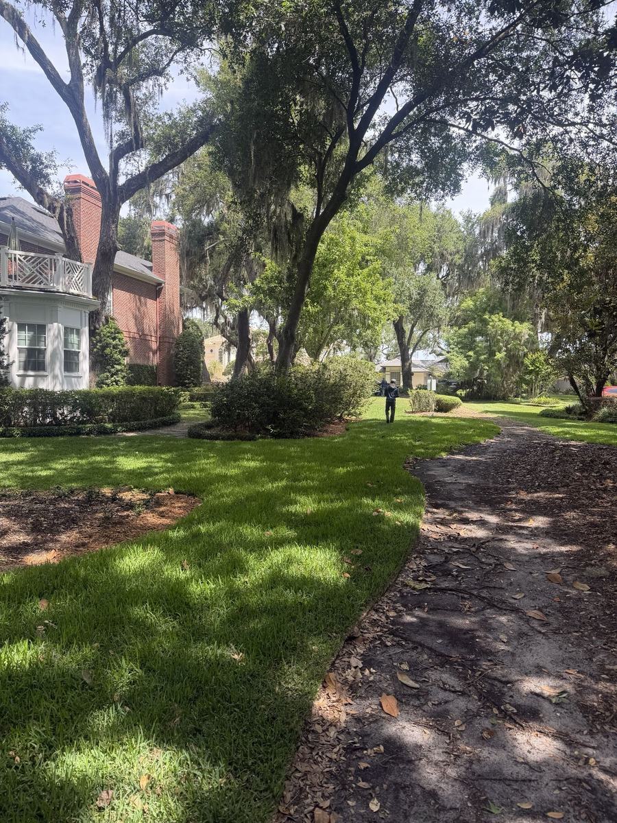 Seville St. Augustine shade lawn under mature oaks in Winter Park FL