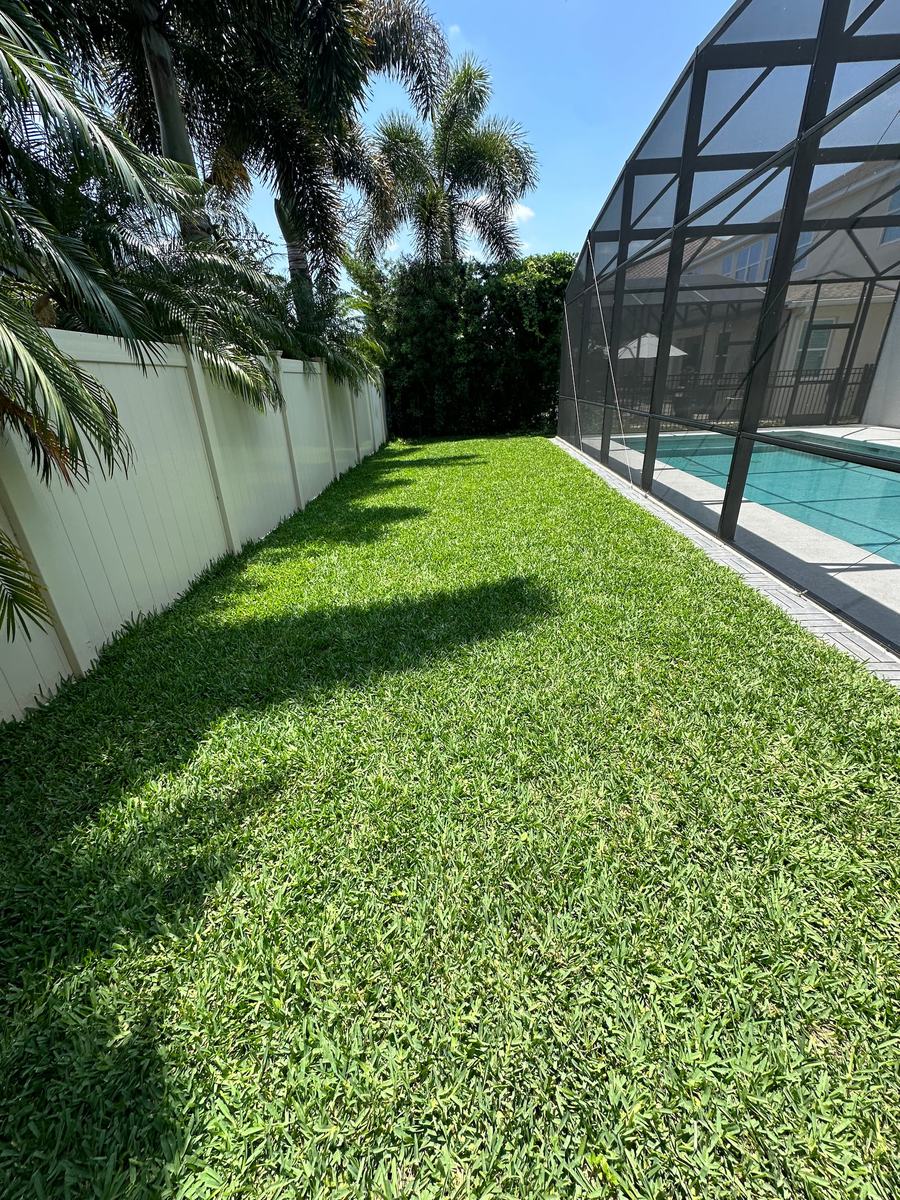 Palmetto St. Augustine pool-side backyard in Four Corners FL after