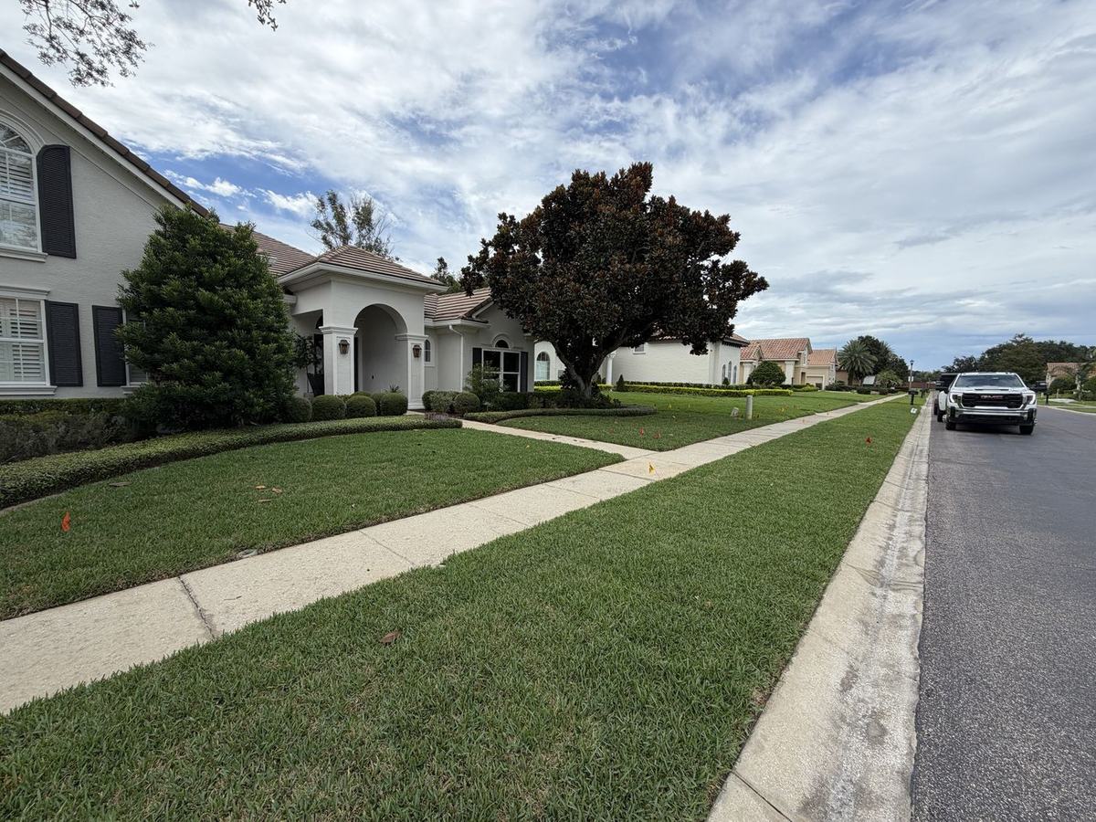 Viridian St. Augustine front lawn and parkway in Dr. Phillips FL