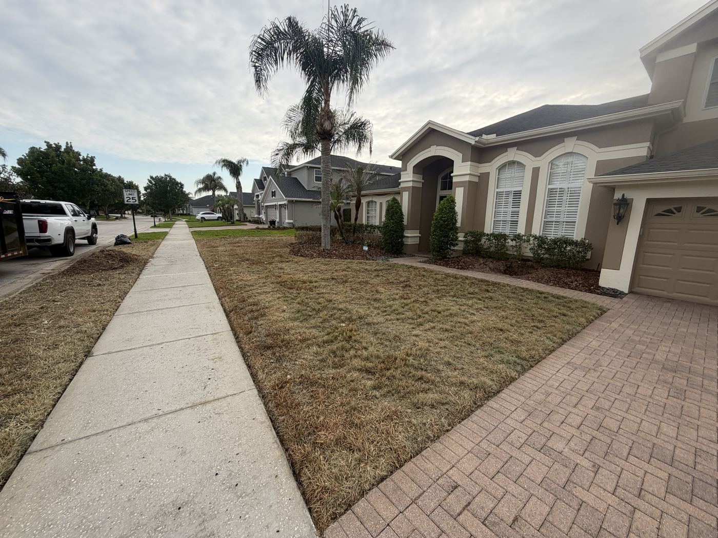 Old lawn fully dead after herbicide treatment, ready for removal