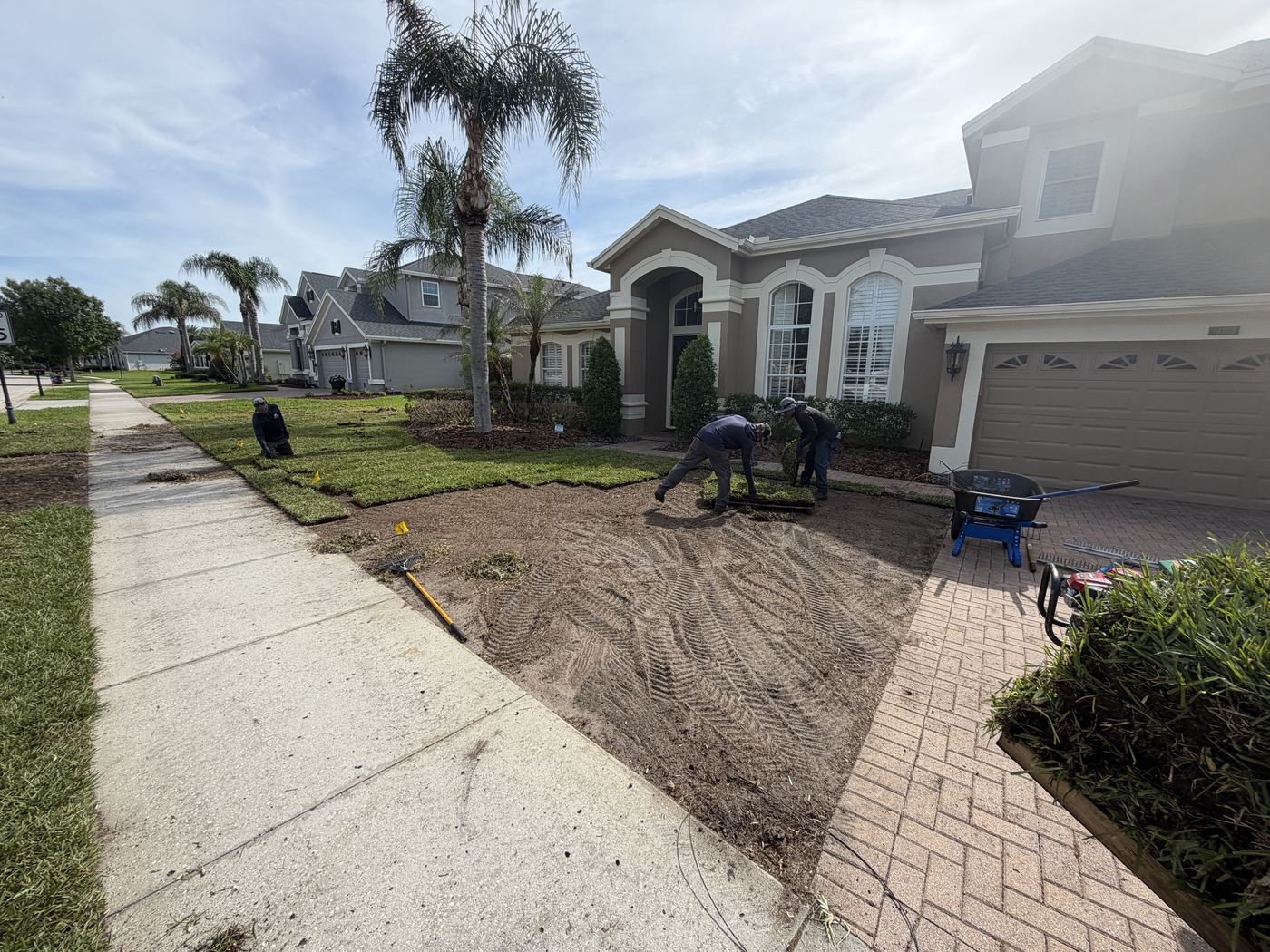 Strada crew laying fresh sod pieces on the graded front yard