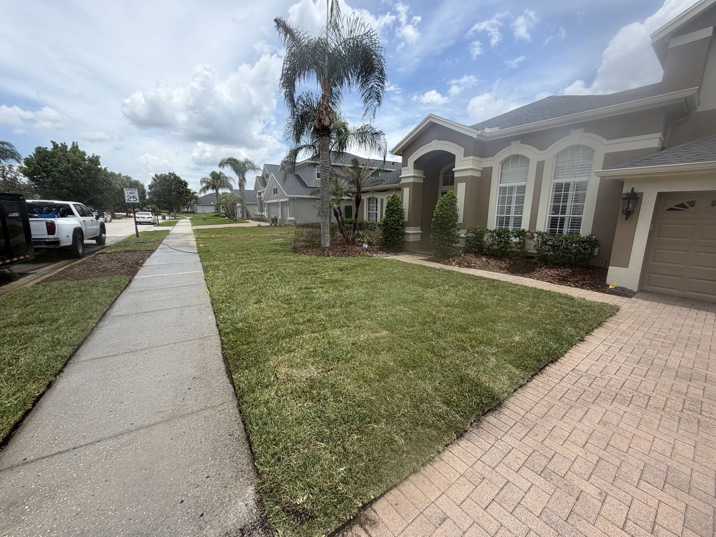 Freshly installed sod lawn with tight seams the same day